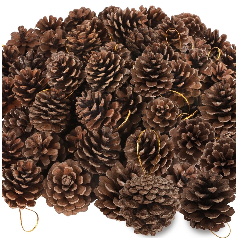 Rustic Pinecone Ornaments-50 Pc.Set